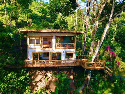 Cahuita House | Jungle Spirit Treehouse
