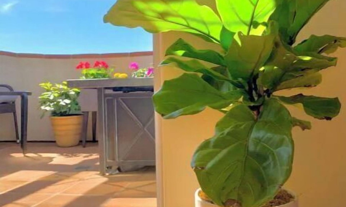 West Mesa House | Located in the heart of Mesa w/peak ocean views