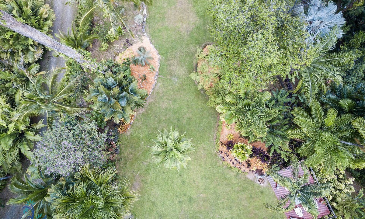Punta Uva Villa | Luxury Villa Macaw Pool House with Ocean Views