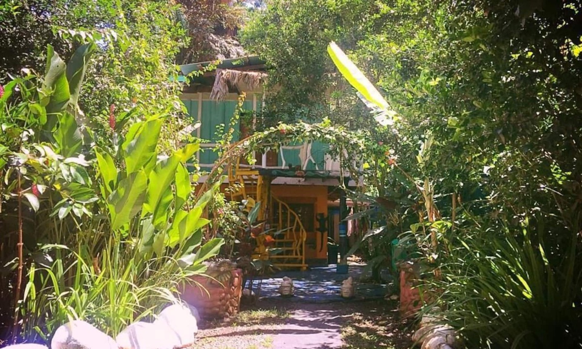 Cocles Hotel | Madre Selva Jungle Hostel