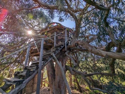 Lagos Other | Magical Treehouse