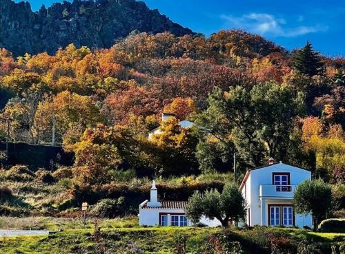 Marvao House | Marvão Country Houses - Queixos I