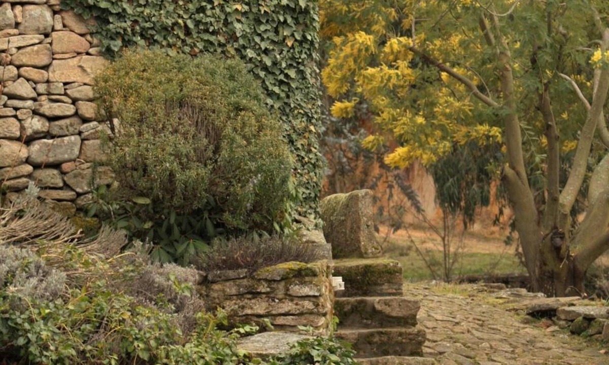Moimenta da Beira House | Moinhos da Tia Antoninha