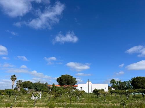 Alvito Bed & Breakfast | Monte da Palmeira