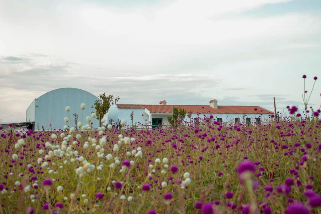 Sao Mancos House | Monte de Palma- Quinta Biodinâmica Momentos Únicos
