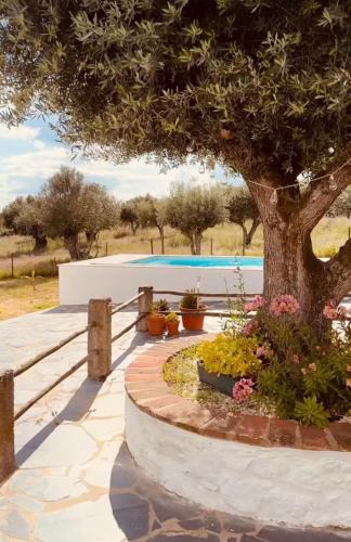 Estremoz House | Monte do Pópulo