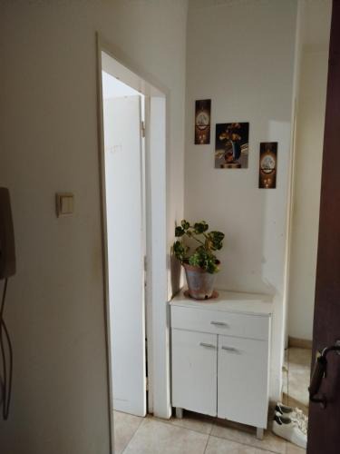 Palhais House | Montijo sharing and personal room available overnight stay