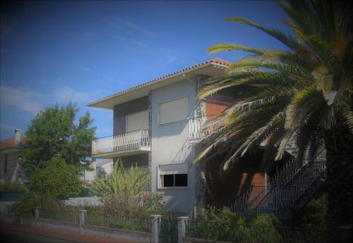 Santa Comba Dao House | Moradia santa comba