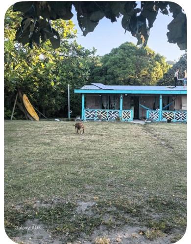 Naviti Island House | Nanz's Homestay