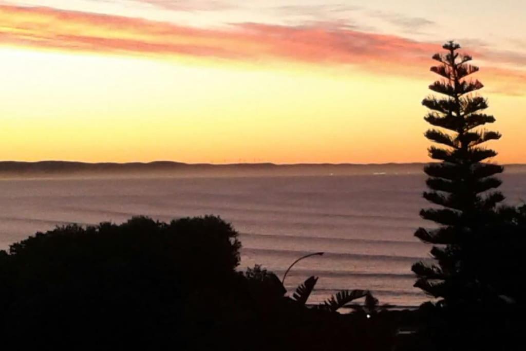 Wavecrest Apartment | NEAT & COSY - 400m to Point Park and Beach.