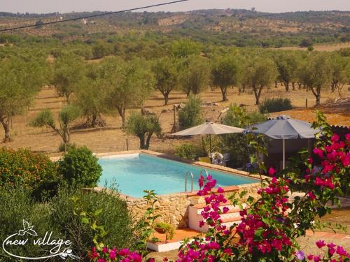 Alvito House | New Village