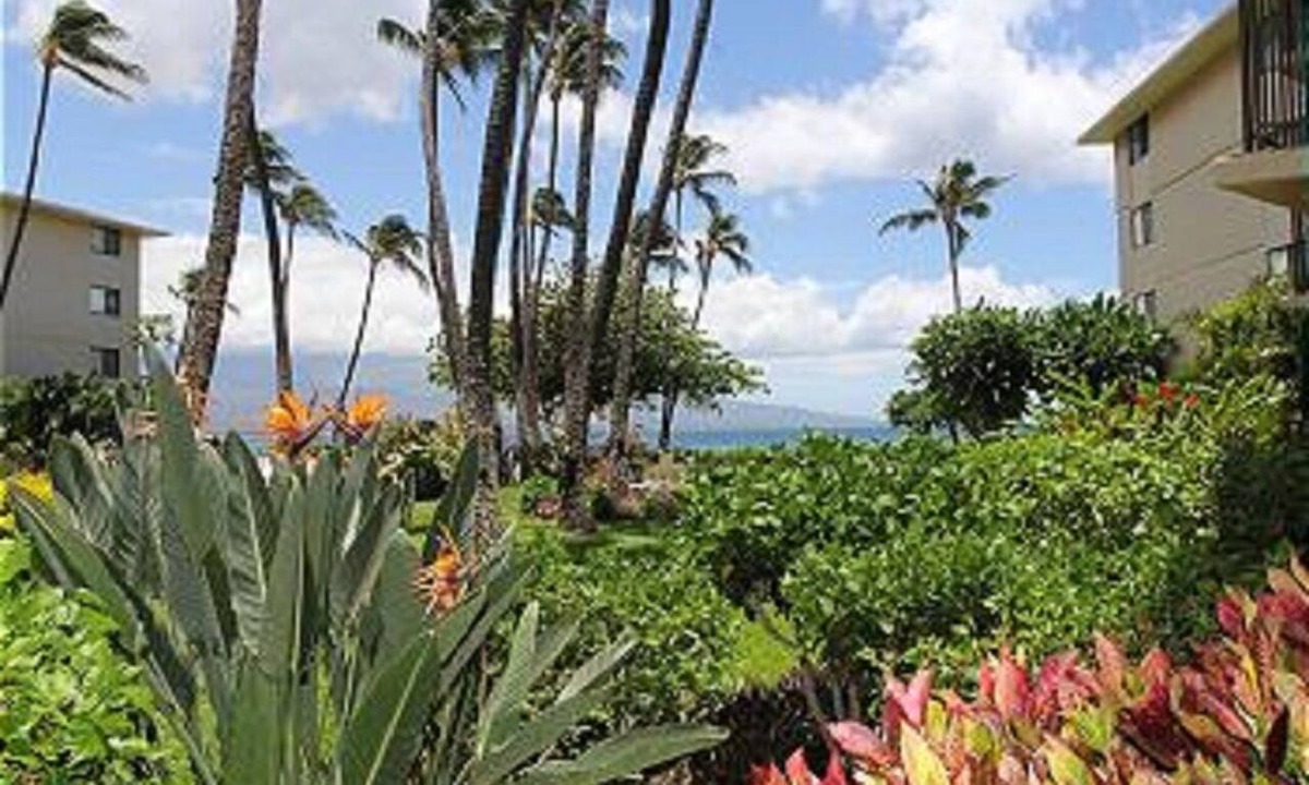 Maalaea Condo | Oceanview Ground Floor Condo Kanai A Nalu 108 in Maalaea with Pool and View