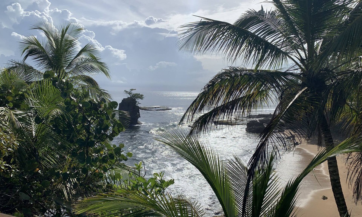 Manzanillo Hotel | Pangea Lodge