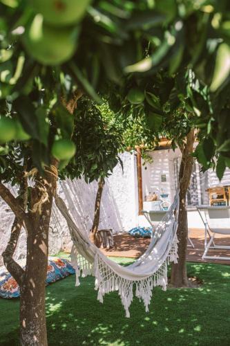 Grandola House | Papoila