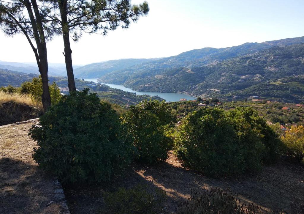 Resende Villa | Paraíso Hills - Encostas do Paraíso: tranquilidade no Douro
