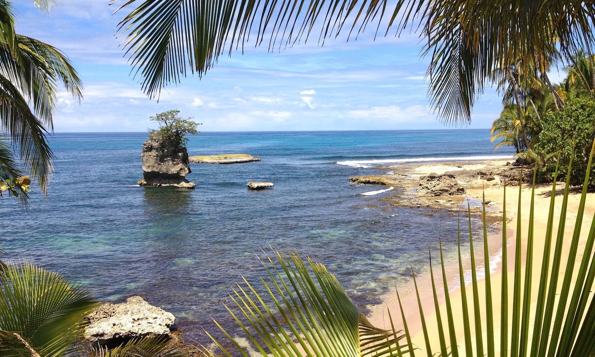 Cocles Bed & Breakfast | Physis Caribbean Bed & Breakfast