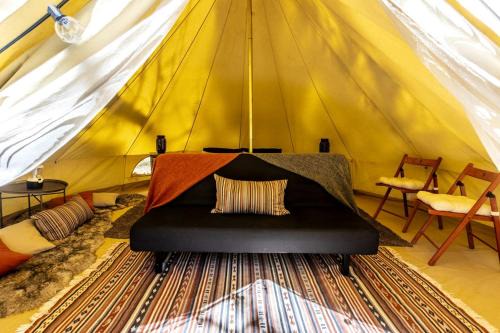 Mount Laguna Other | Pioneering Pet-Friendly Glamping: Mt. Laguna's Original Nature Lovers' Retreat