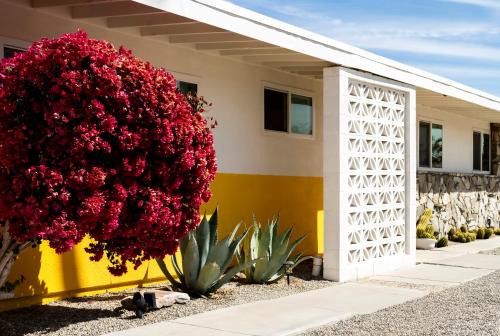 Twentynine Palms House | Pool Spa Stargazing Stylish Mid-Century Home Near Joshua Tree National Park