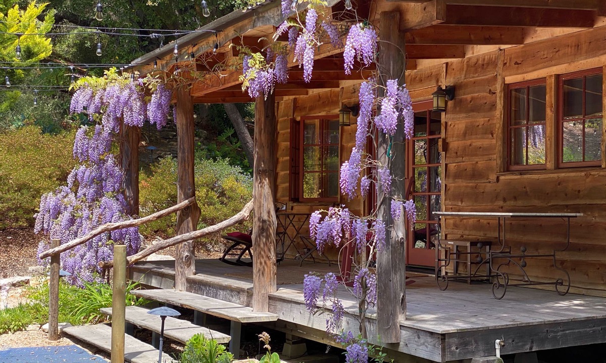 San Luis Obispo Cabin | Private Creekside Cabin in See Canyon | Gated | Near Avila, Pismo & SLO