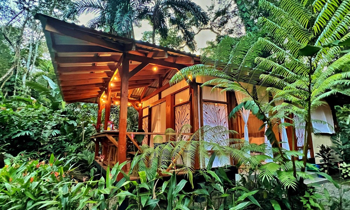 Cocles House | Rainforest glamping experience with private plunge pool in jungle garden