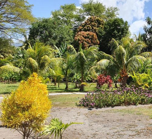 Moyogalpa Hostel | Rancho Tranquillo