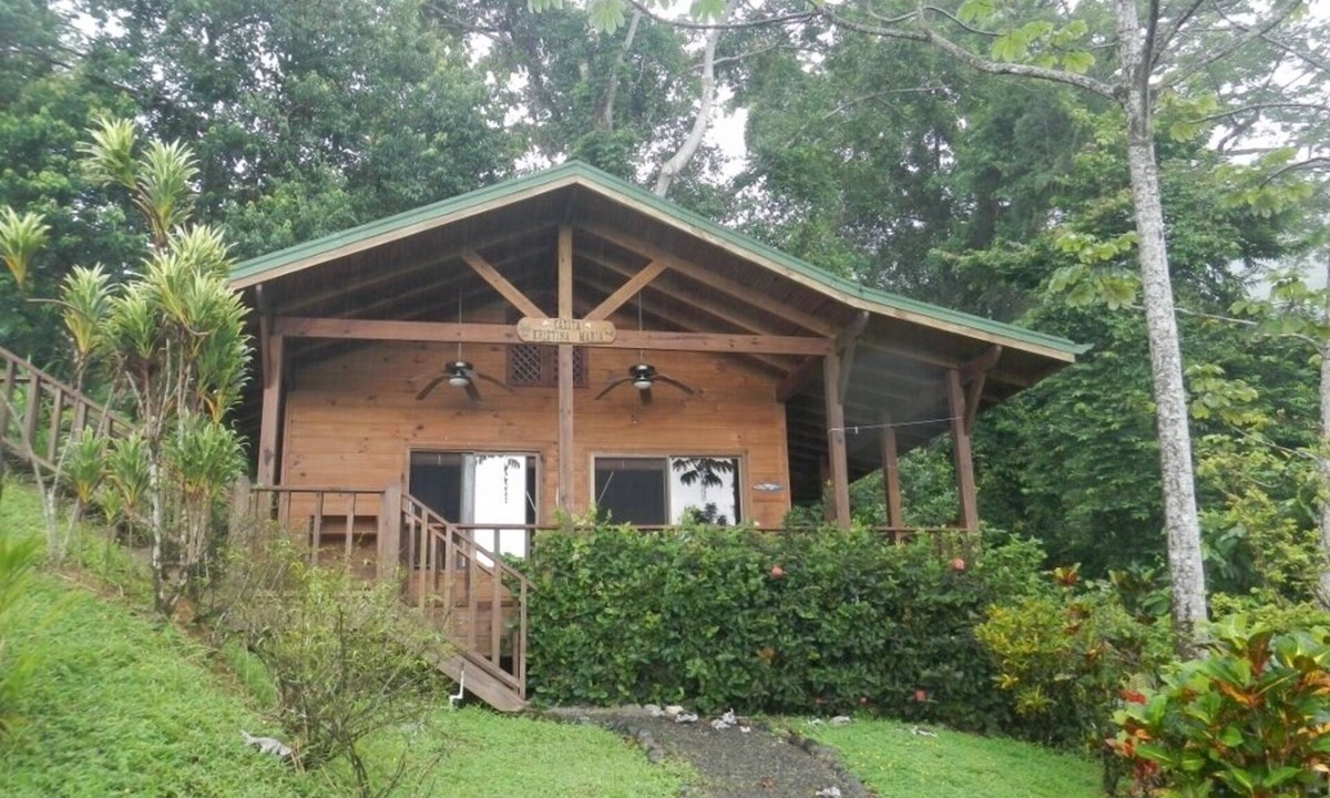 Uvita Cabin | Relax surrounded by Wildlife, Rainforest, Ocean view, Beach Club, Hi speed Wi-Fi