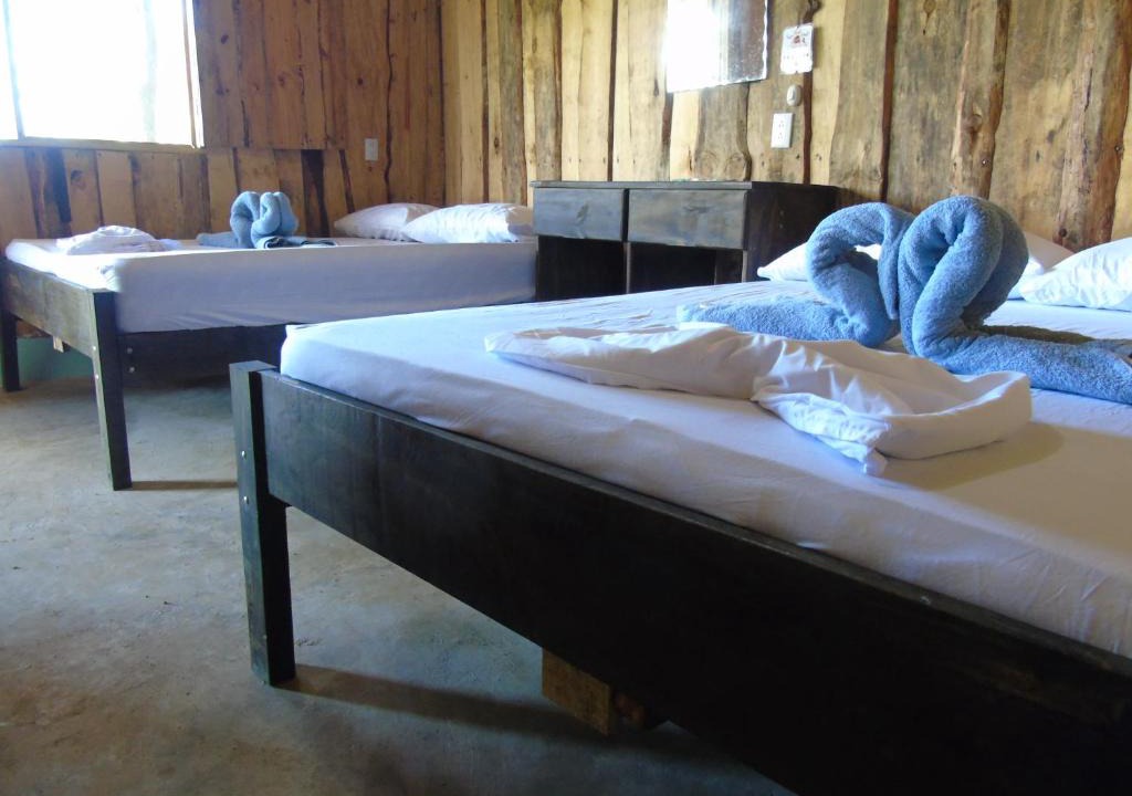 Drake Bay House | Room in BB - Hotel El Tesoro de Sir, Drake Bay