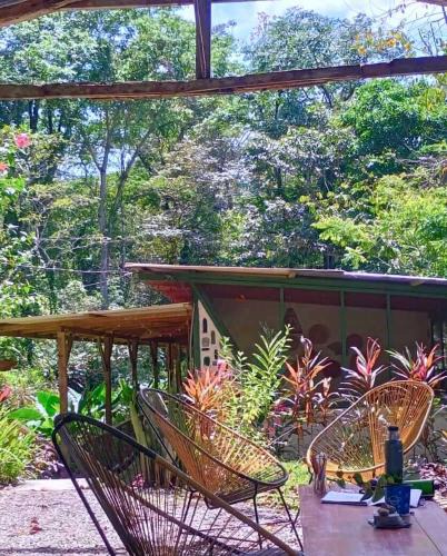 Cocles House | Smile Jungle Hostel