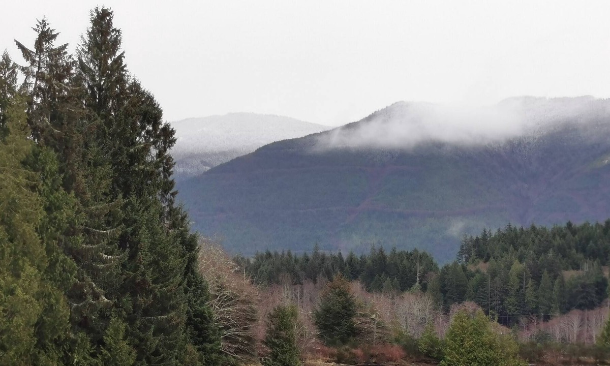 Ucluelet House | Spacious Getaway @ Swan View