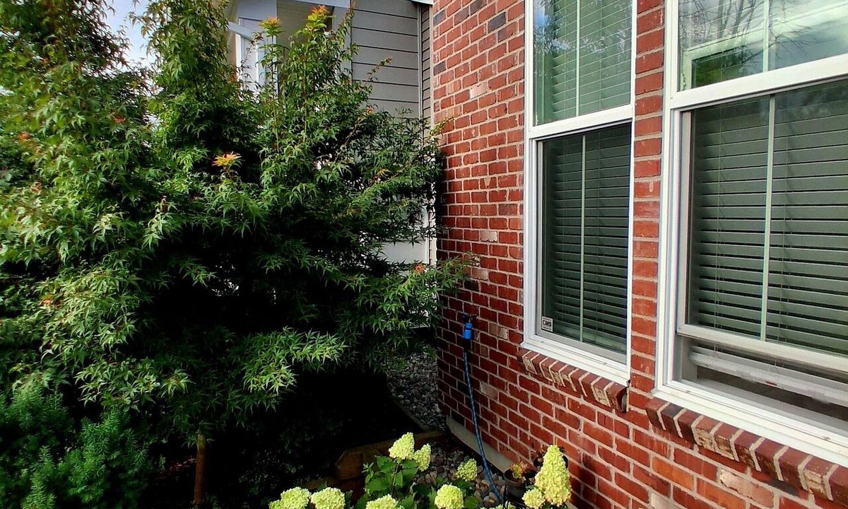 Willoughby House | Spotless Basement Suite near LEC | 2 Beds | Private Entrance | Free Parking