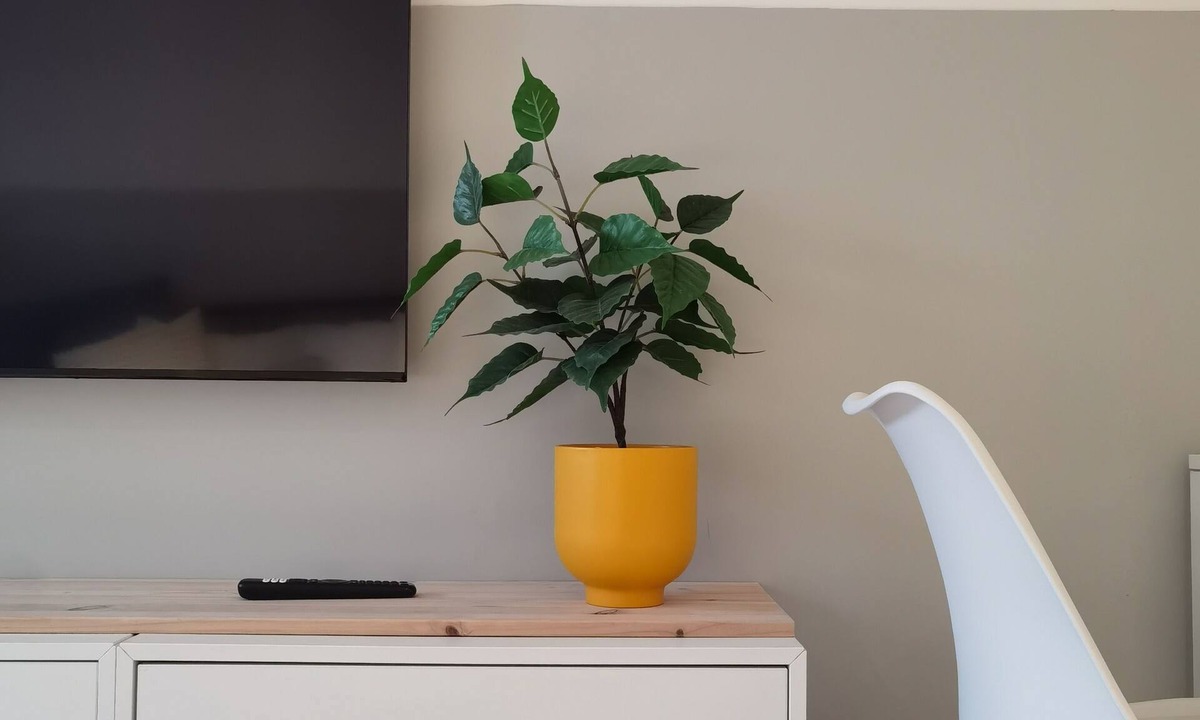 Oeiras Apartment | Studio Alegria T0
