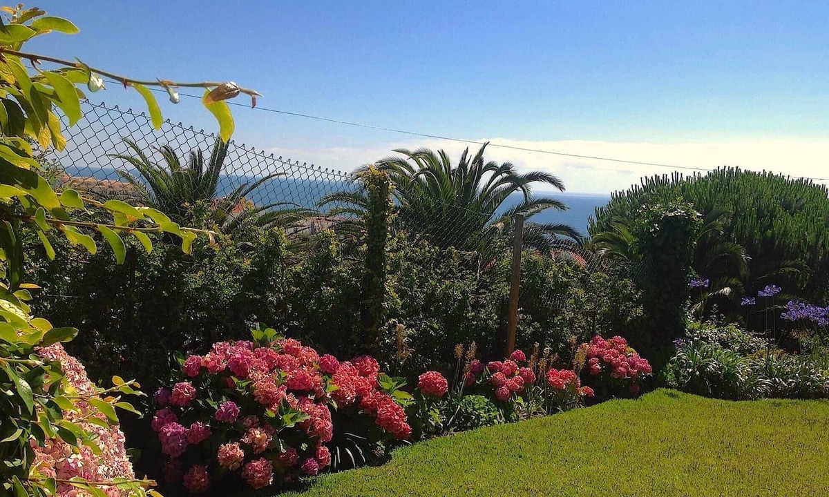 Ericeira Cottage | Studio Independent with tranquil garden