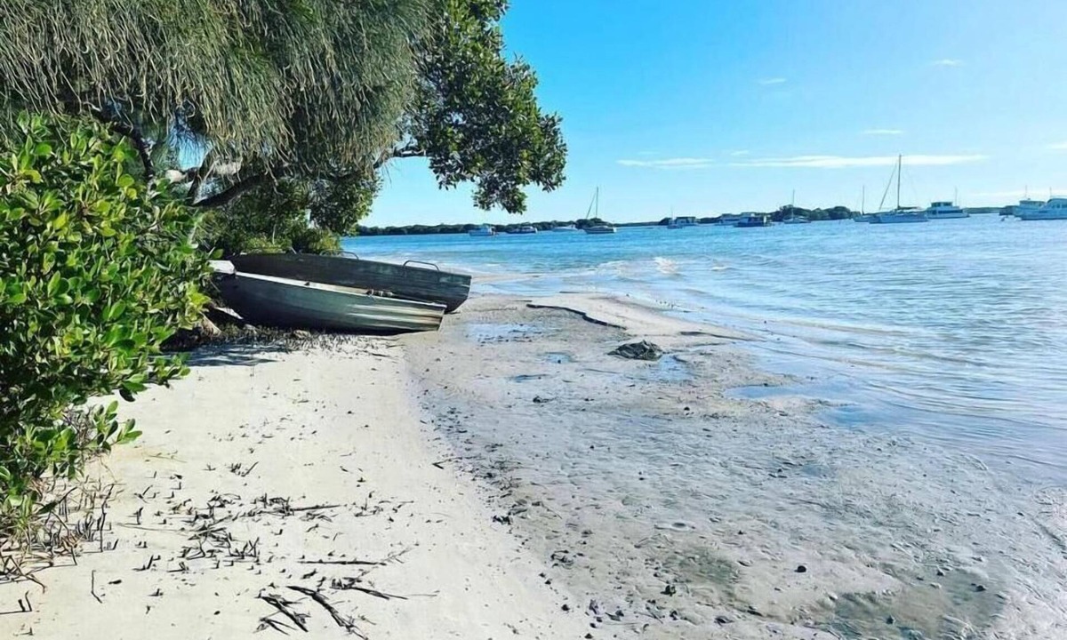 Jacobs Well House | 'Sugar Town': Beach Park Pets Media Room