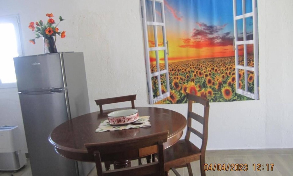 Evora House | Sunflower House