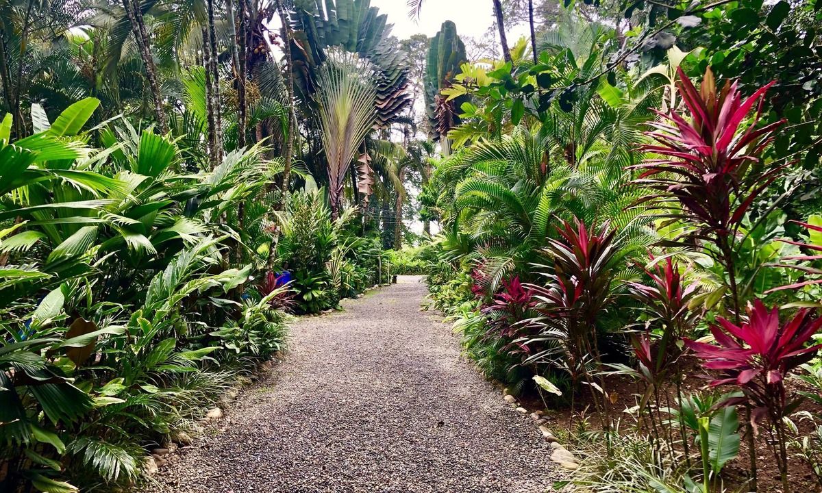 Cahuita Hostel | Tasty Dayz Hostel
