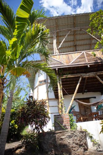 Merida Cabin | The Jungle