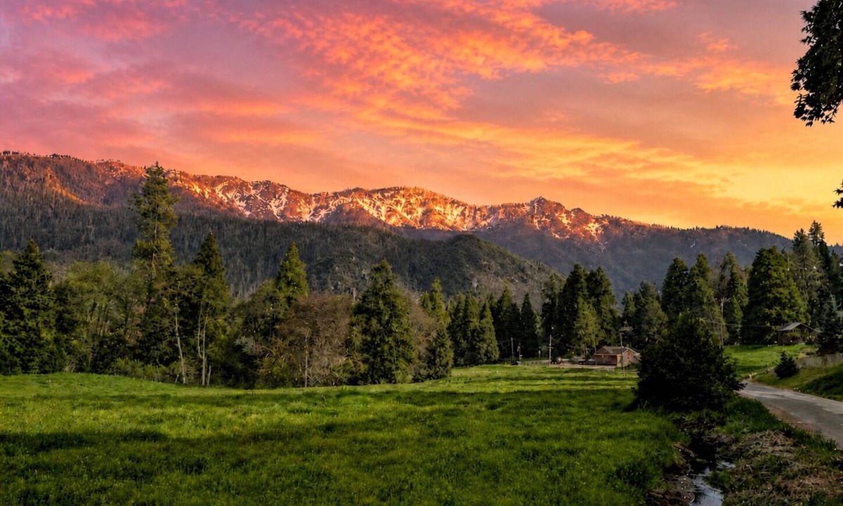 Camp Nelson Cabin | The Sequoia Time Capsule: Spa, Walk 2 Giant Sequoias, River, Fish, Bike, Saloon