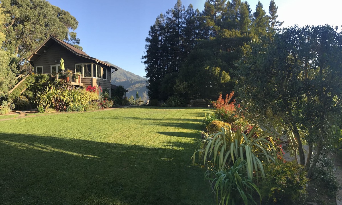 Tamalpais-Homestead Valley House | Unique Mill Valley Home