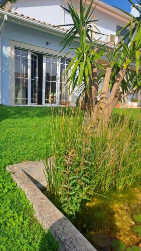 Penacova Bed & Breakfast | Varanda de Coimbra
