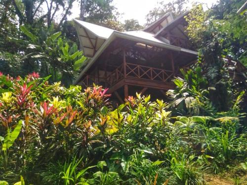 Cocles Villa | Villa Colibrí