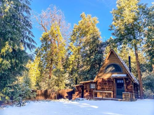 Idyllwild House | Wildland Zen Den Tiny House Retreat with Fireplace Grill AC Hammock Record Player Musical Instruments Pets OK