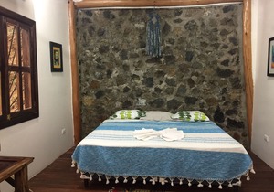 Beautiful Jungle Casa , walking distance to beach & town