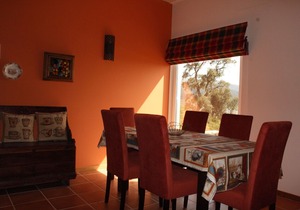 Casa da Nininha - T1 Duplex Green