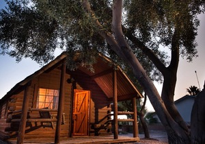 Colorado River Rustic Cabin Rental Sleeps 6
