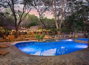 Eco Casita Phase Tola | Playa Colorado