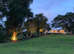 The Williamson | Suva