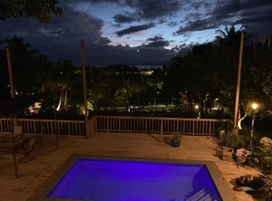 The Williamson | Suva
