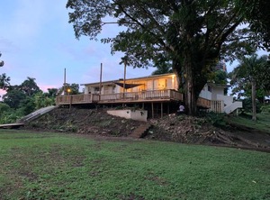 The Williamson | Suva