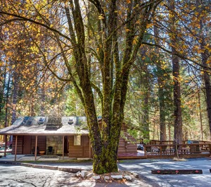 Loft Yosemite National Park 