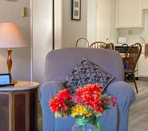 Bahia Vista Avalon 